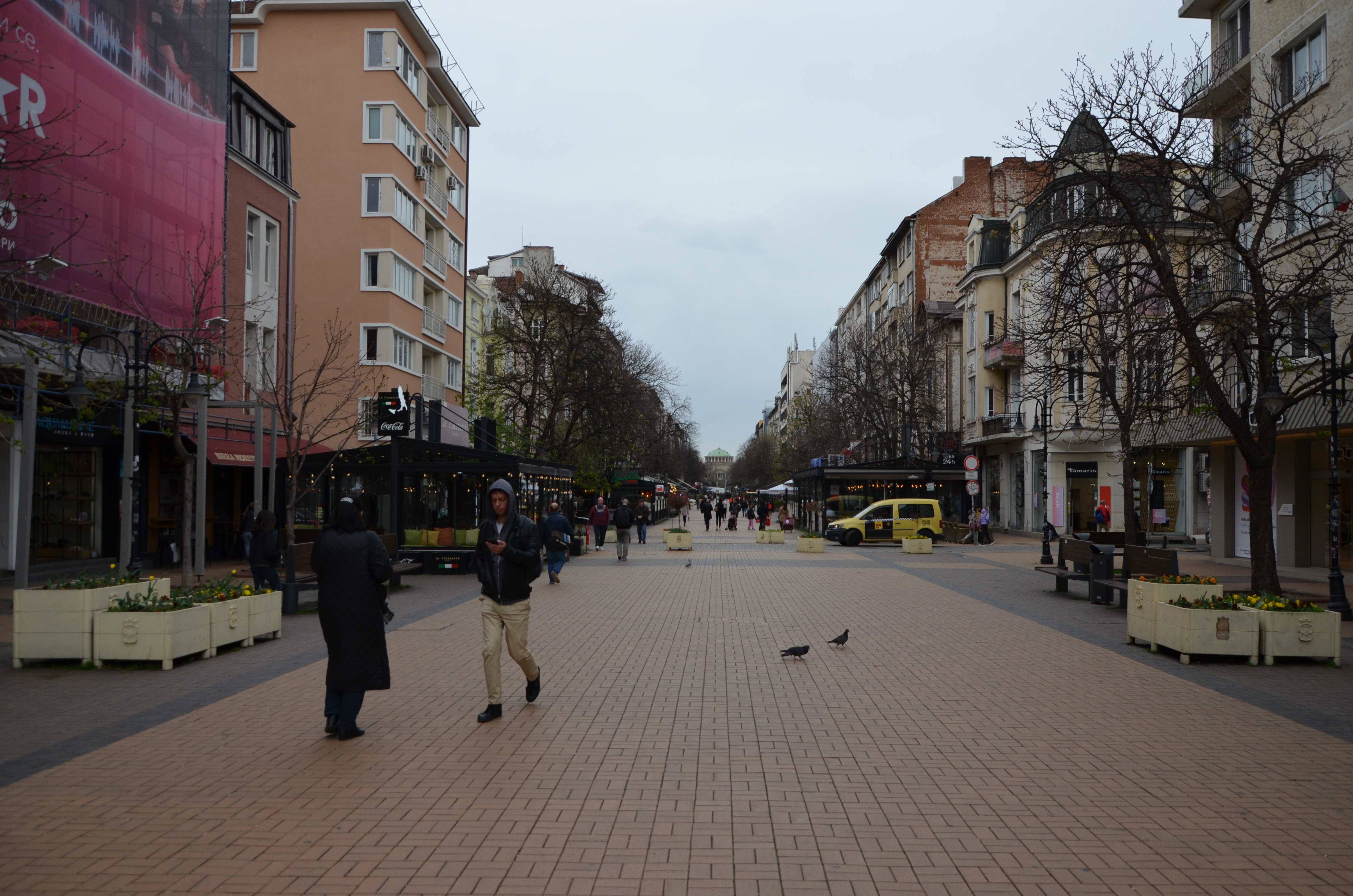 Sofia